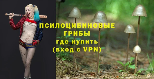 мяу мяу кристалл Инсар