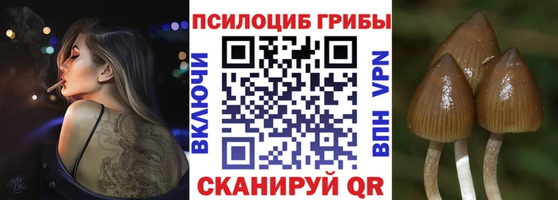 Псилоцибиновые грибы Psilocybe  цены наркотик  Юрга 